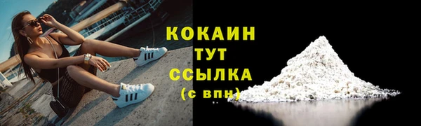 крисы Беломорск