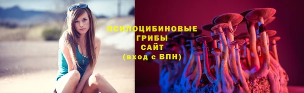 крисы Беломорск