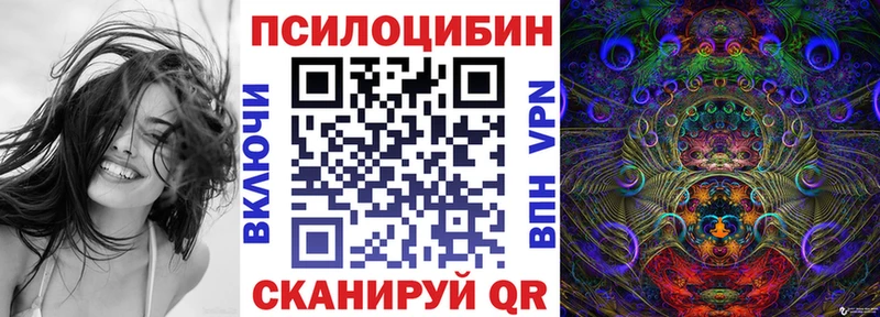 Псилоцибиновые грибы Psilocybe Гаврилов Посад