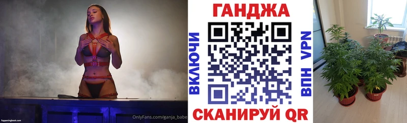 Каннабис SATIVA & INDICA Гаврилов Посад